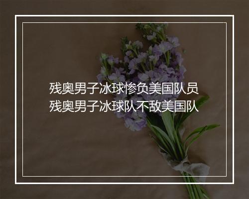 残奥男子冰球惨负美国队员 残奥男子冰球队不敌美国队